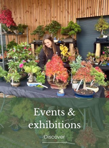 Events & exhibitions